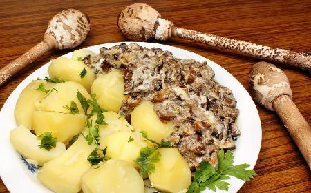 Młode kanie duszone z jajkiem: pyszny sos do ziemniaków