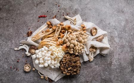Grzyby maitake, reishi i shitake